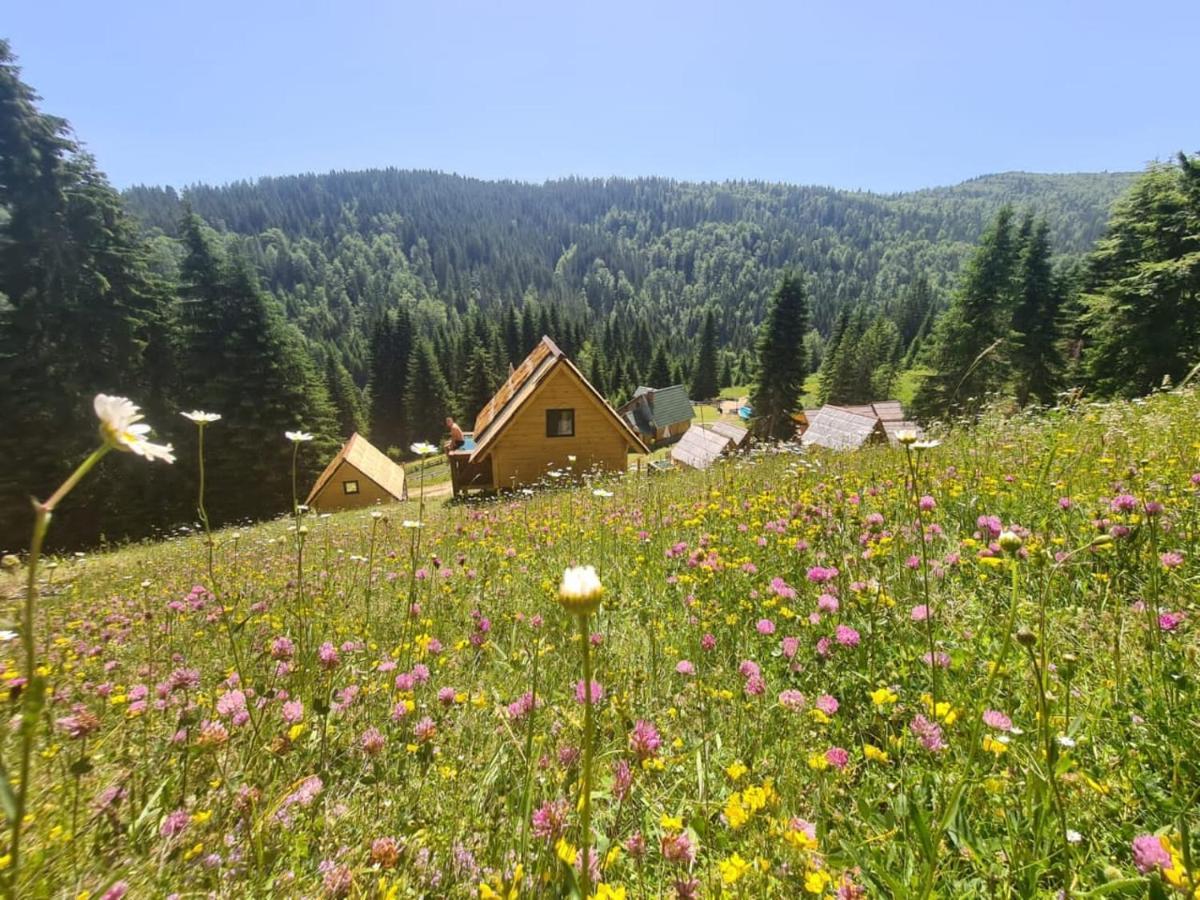 Eko Katun Bungalows Jelovica Berane Exteriér fotografie