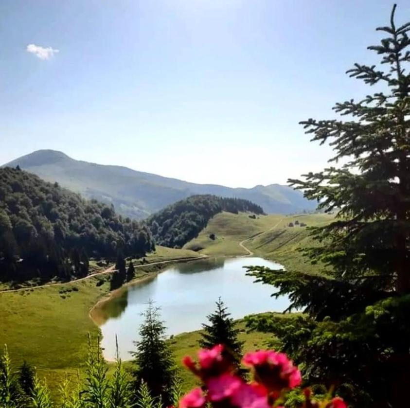 Eko Katun Bungalows Jelovica Berane Exteriér fotografie